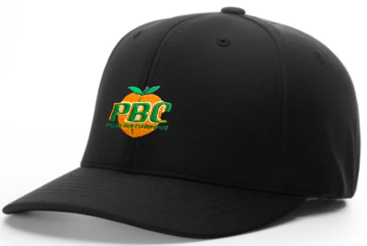 New Year Hat for Men-Richardson Black 8-Stitch Base Umpire Hat (PBC)